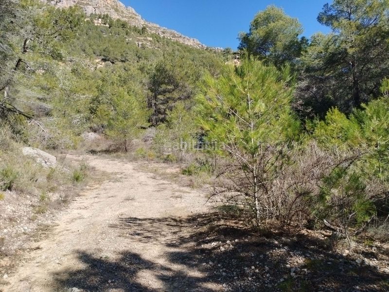 Foto 0fe30dbf-43f1-4708-a610-a996e6eab027. Finca rústica a Morera de Montsant (La)