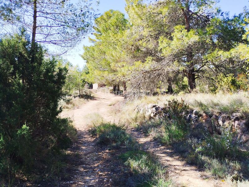 Foto 3521594f-6832-471e-a7bf-25fe985274bd. Finca rústica a Morera de Montsant (La)