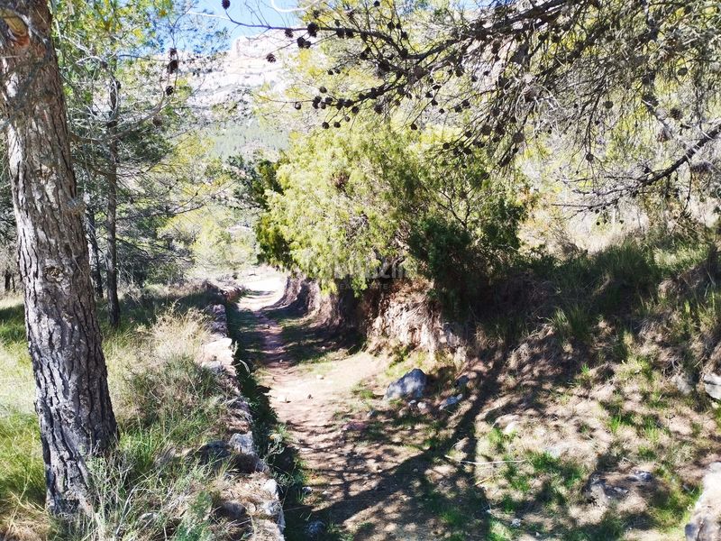 Foto 44a8d956-1c4a-45a0-b5b8-08dc82940421. Finca rústica a Morera de Montsant (La)