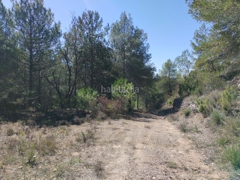Foto 5589aa2f-334f-4232-bbce-04593912a29e. Finca rústica a Morera de Montsant (La)
