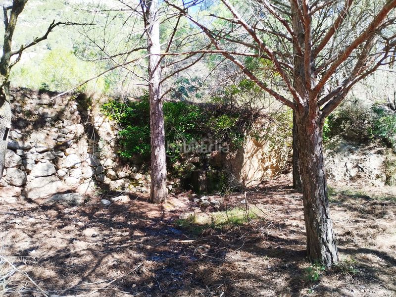Foto 746afd6a-7989-4434-9ae0-177ea754f699. Finca rústica a Morera de Montsant (La)