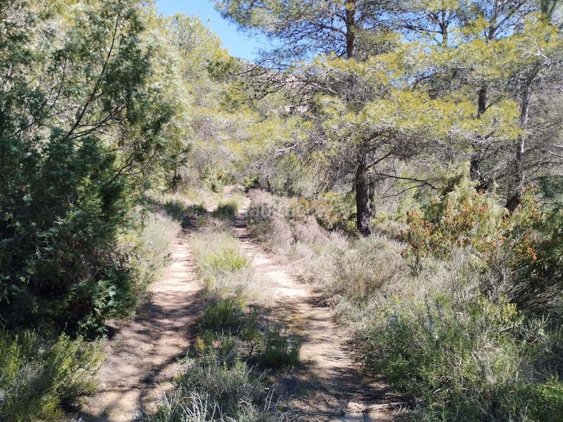 Foto 77c9a20a-1c93-4ab0-bb6d-d957083c8f97. Finca rústica a Morera de Montsant (La)