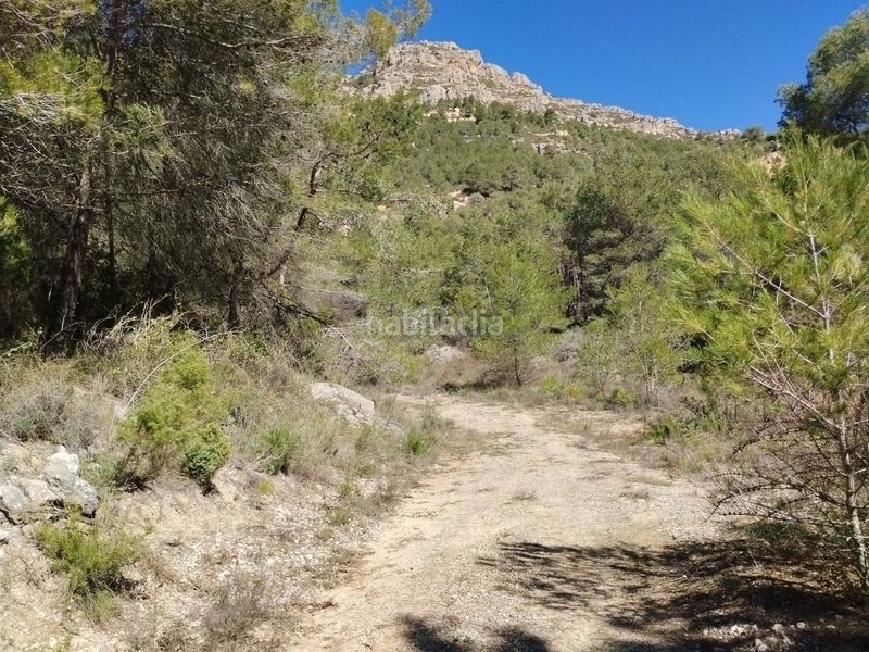 Foto a9dca09c-8456-4304-ab9f-e53bcea5447a. Finca rústica a Morera de Montsant (La)
