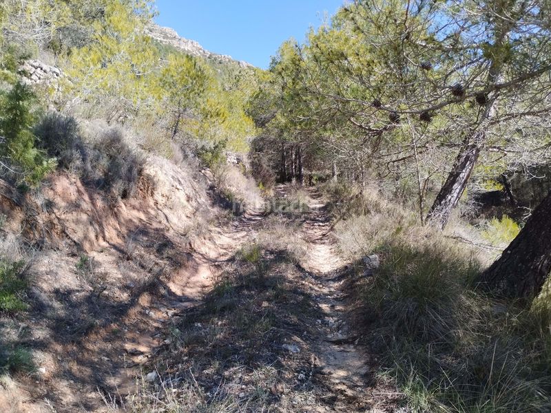 Foto acc4e320-ecbb-4cba-bce5-51ab25b46aa0. Finca rústica a Morera de Montsant (La)