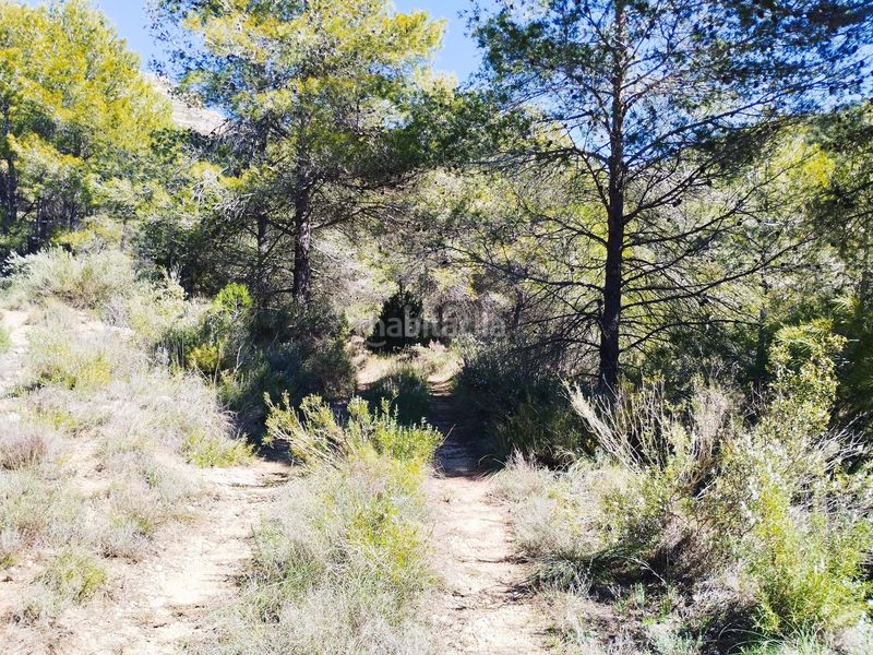 Foto b932be83-b974-4471-869a-89b8193f620e. Finca rústica a Morera de Montsant (La)