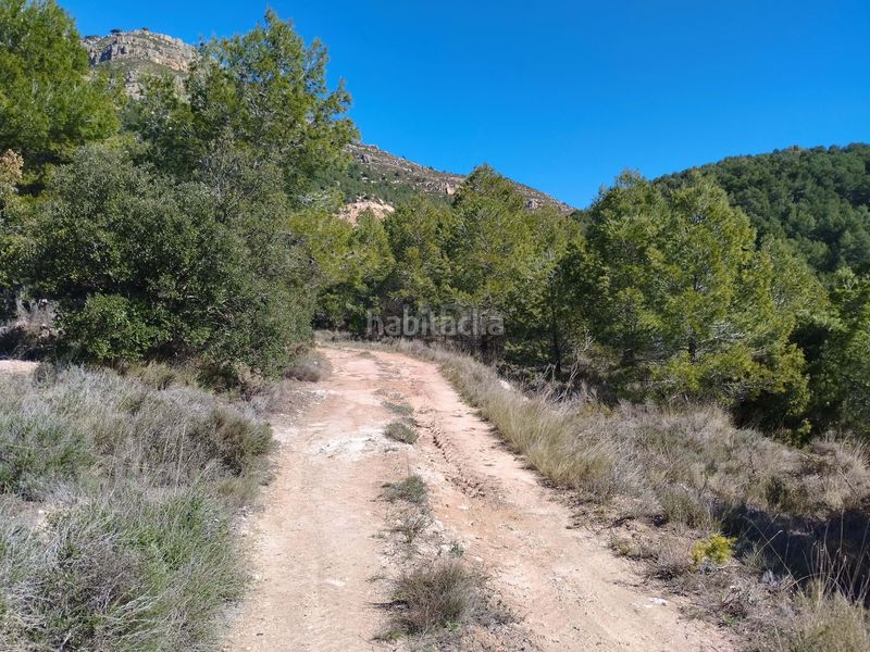 Foto bd865b47-9141-4e60-9aeb-b9df503df441. Finca rústica a Morera de Montsant (La)