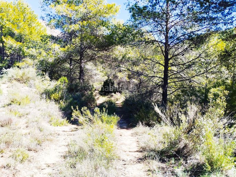 Foto c8f0af67-5ebe-4b24-a76b-1b8902463a23. Finca rústica a Morera de Montsant (La)