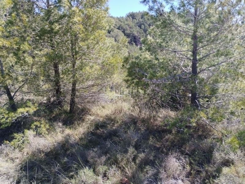 Foto df5282fb-c902-4d15-8b24-1f4b08621eb2. Finca rústica a Morera de Montsant (La)