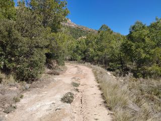 Fondo rustico in Morera de Montsant (La)
