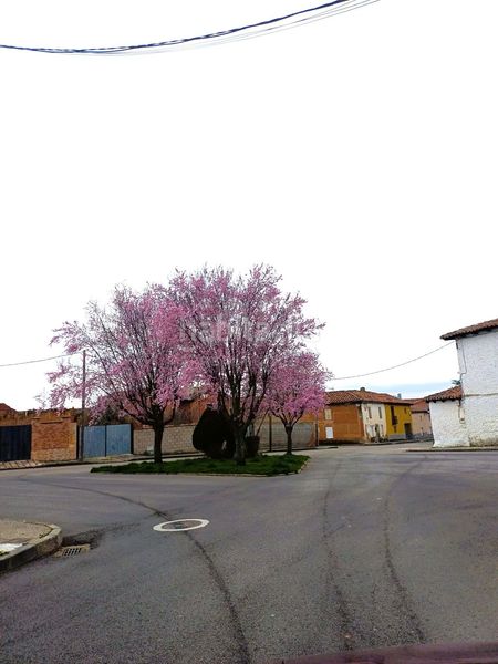 Foto 850ccbc8-81ea-44f7-8d9e-74eadff50826. Edifici a Valverde de la Virgen