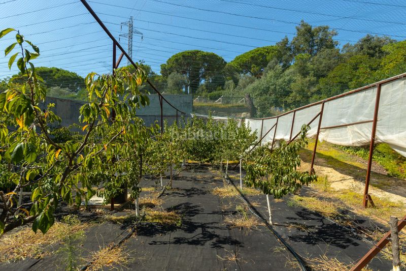 Foto a5442dcb-a50b-4e8b-9f89-1da9ceaef82e. Casa amb calefacció aparcament piscina a El Mirador-La Cornisa Sant Andreu de Llavaneres