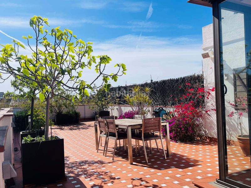 Foto a0d72de1-d7c8-44b1-9219-9f4910d7e765. Àtic a carrer de sant rafael 26 a Raval Barcelona