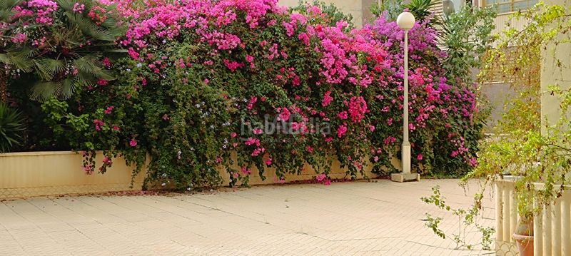 Foto 61ce09ad-0398-403b-8d1b-b4ad93762e43. Piso en Pont Nou - Corazón de Jesús Elche / Elx