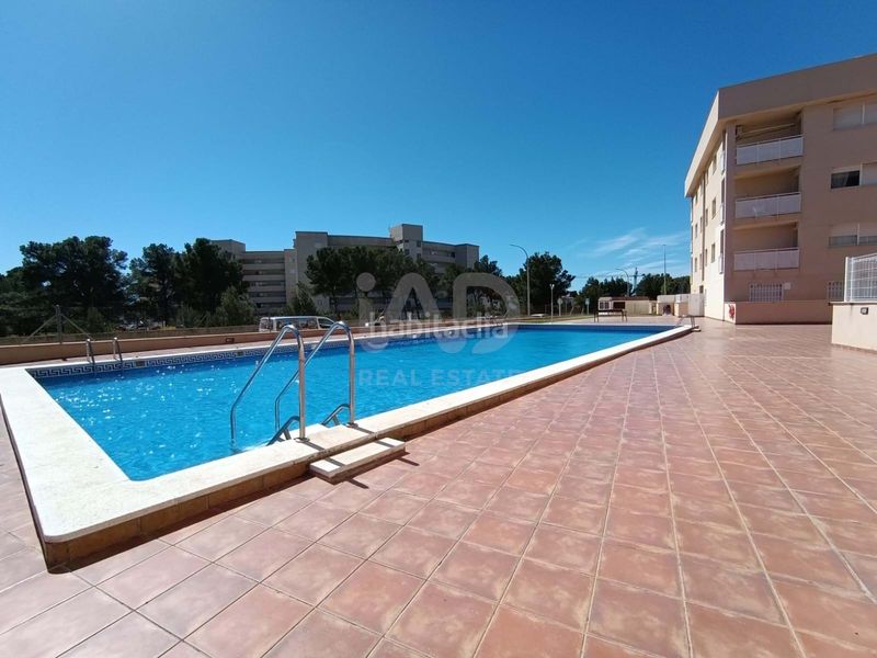 Foto 4c7bdbf5-0388-4118-903d-ab52ff175526. Pis amb piscina a Pino Alto Miami Platja