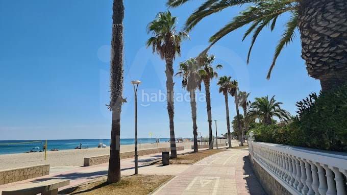 Foto 9bdf1635-21d6-461a-a1e7-76dd3d557bb1. Pis amb piscina a Pino Alto Miami Platja