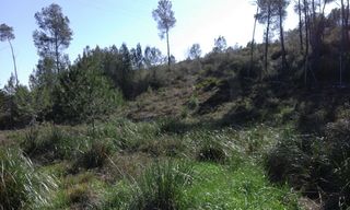 Terreno residencial en Carrer del senglar