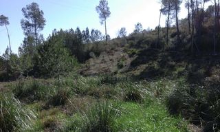 Terreno residenziale in Carrer del senglar
