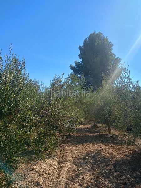 Foto 601d1750-8589-46fe-8461-dfa20e428314. Terreny residencial a Parrilla Lorca