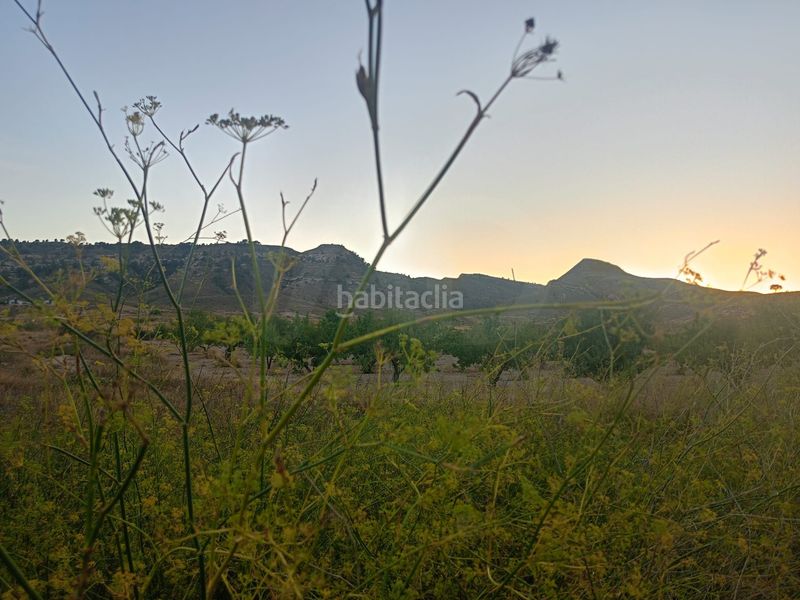 Foto bd0eaad6-2def-4c39-9cf4-ee0f18580136. Terreny residencial a Parrilla Lorca