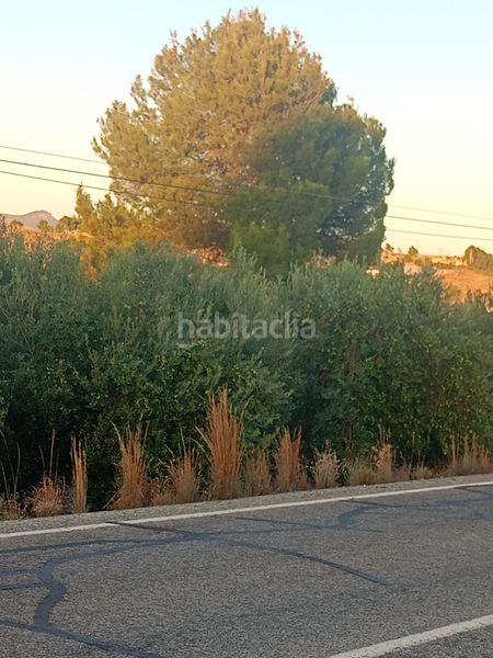 Foto c123aefd-bc5b-46e6-a18e-1f6a4b0e309d. Terreny residencial a Parrilla Lorca