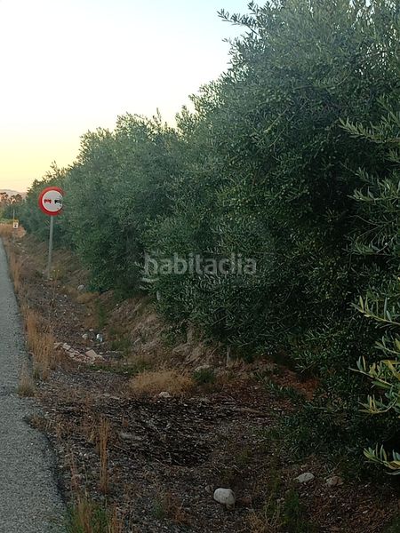 Foto ca37e40c-2965-41e5-b1dd-de69ed788c7f. Terreny residencial a Parrilla Lorca