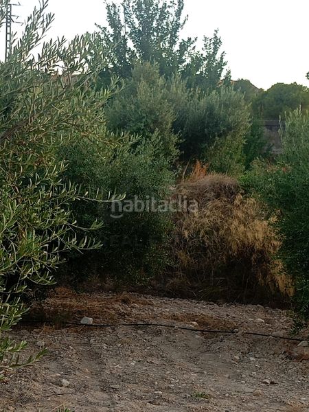 Foto d75cdd98-0186-4d0f-9c96-bde31c80b6e7. Terreny residencial a Parrilla Lorca