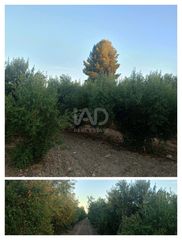 Terreno residenziale in Parrilla