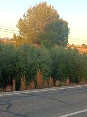 Terreno residenziale in Parrilla