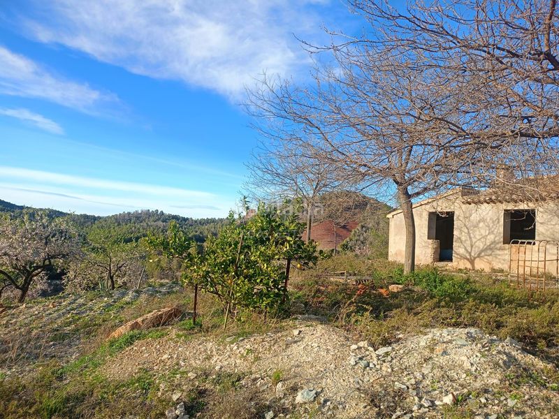 Foto 56a34ce8-7a99-4885-b8ce-b684f7c58731. Casale in Parrilla Lorca
