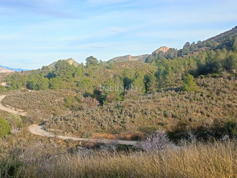Foto b05550d4-d239-4884-a9b5-10e1da8876a5. Casale in Parrilla Lorca