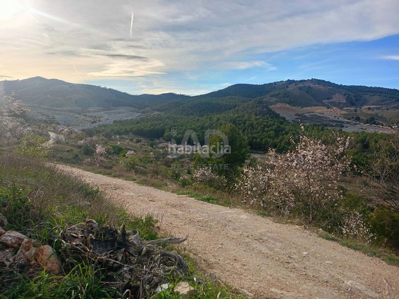 Foto c326a6dc-a37a-4159-96f8-4ef108d10f09. Casale in Parrilla Lorca