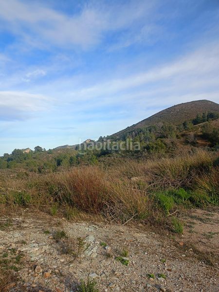 Foto c972ad21-23cb-4512-9c8f-86f4c6b6d8ff. Casale in Parrilla Lorca