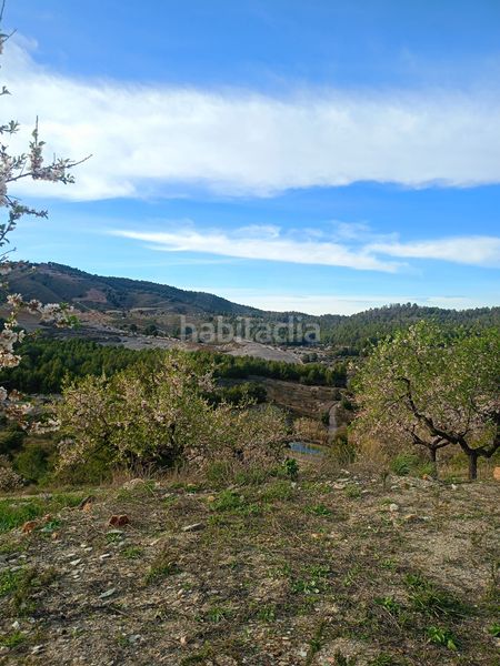 Foto 4a490db3-2f7c-43a4-b553-8caa2c3a0467. Mas dans Parrilla Lorca