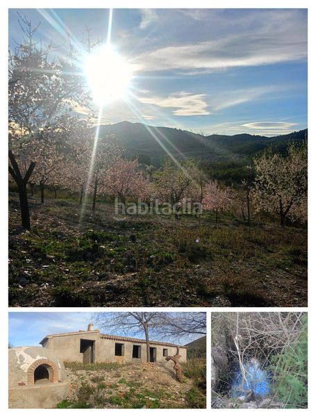 Foto af653f1b-3506-45a0-b46a-d3adf175602c. Mas dans Parrilla Lorca