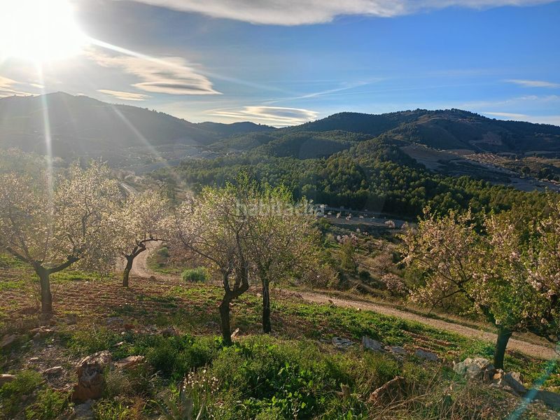 Foto b02237c2-d77d-49fa-b83d-830907f932bf. Mas dans Parrilla Lorca