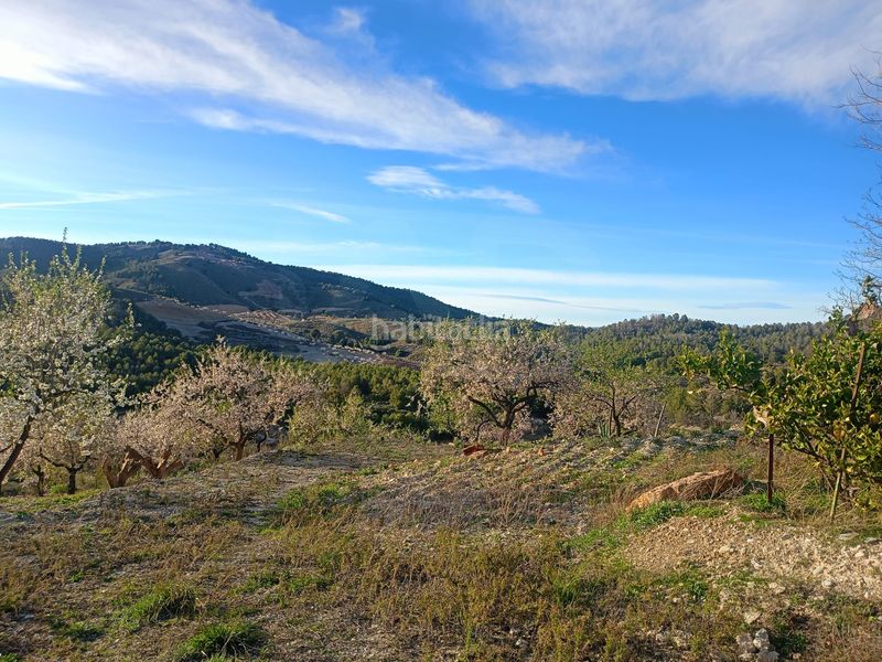 Foto d8793d36-5310-452b-aa66-be925895b3f1. Mas dans Parrilla Lorca