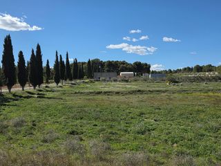 Rural plot in Calasparra