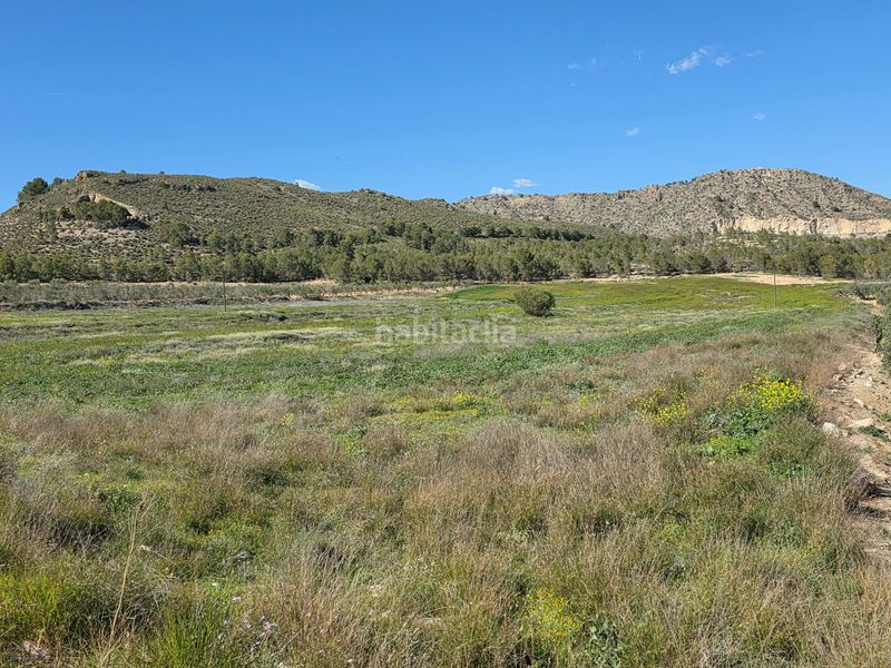 Foto 5675b8e0-5586-4594-8cbd-b8099964456b. Finca rústica en Calasparra