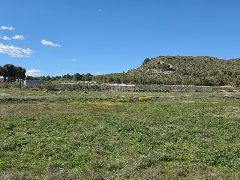 Foto 73ad8f8d-f4ba-4f5d-8929-5b93f3797a8b. Finca rústica en Calasparra