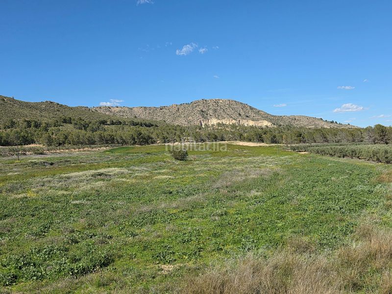 Foto 7c617ea2-36df-4f42-93a3-eaba42580402. Finca rústica en Calasparra