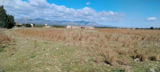 Landgut in Ulldecona