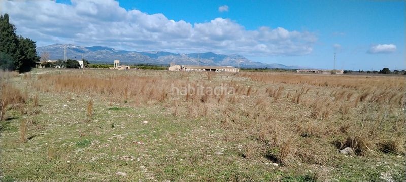 Foto 70712a7a-22a7-4a88-8898-bc8cf68b6a39. Finca rústica a Ulldecona