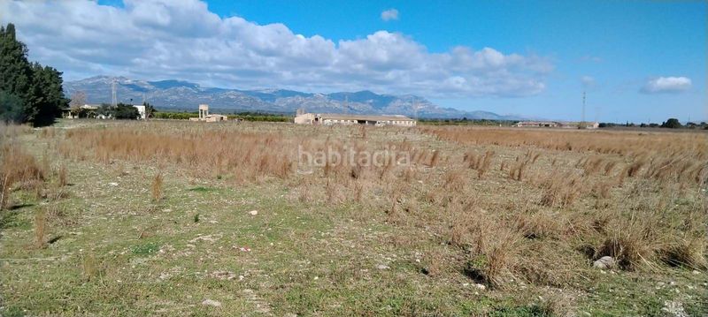 Foto ee9bbb68-0cdc-4e8f-a066-6531b5a78e35. Finca rústica a Ulldecona