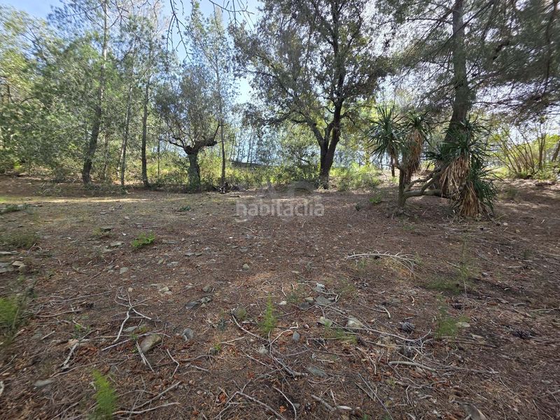Foto 20f172a3-a9f6-4af1-a647-c1c1b372fe79. Finca rústica a Alforja