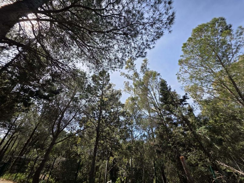 Foto 4372ac34-901a-49d9-9f60-092de34405f3. Finca rústica en Alforja