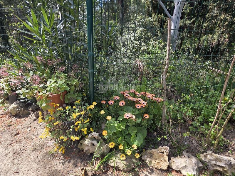 Foto a774acad-a663-4b1e-89e7-52d9c461bfe8. Finca rústica en Alforja