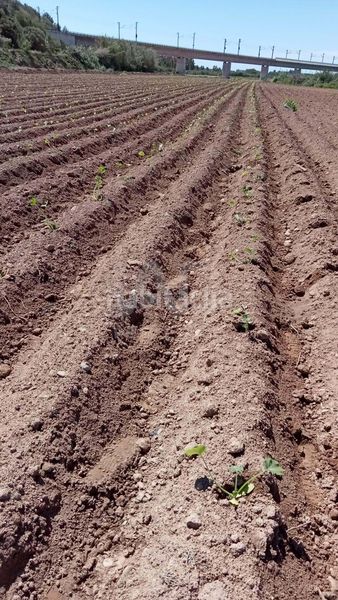 Foto a0b144f6-c6b0-49e2-9beb-ec4a1769865e. Finca rústica a Perafort