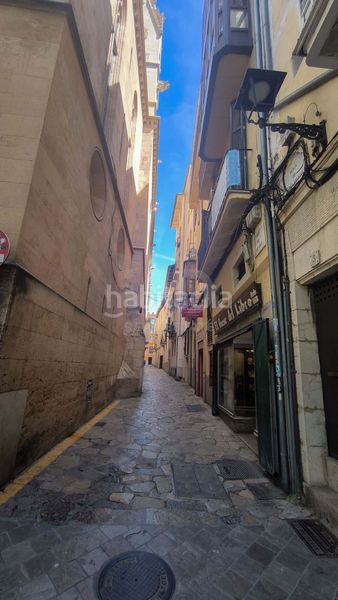 Foto 4693b715-9850-4be0-a0bb-784d964aeac9. Pis amb calefacció a Cort Palma de Mallorca