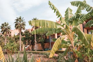 Dachwohnung in El Romeral-Peñón de Zapata