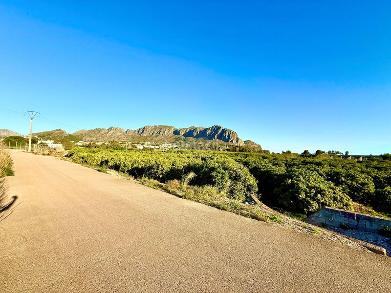 Foto 3fadd11c-fa34-43f0-b3fa-2f1f7d7a9be1. Finca rústica en Beniarbeig